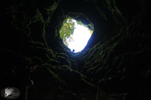 varathro_oxurou_drama01