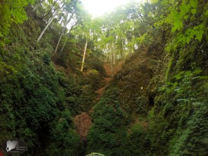 DCIM100GOPROGOPR1218.